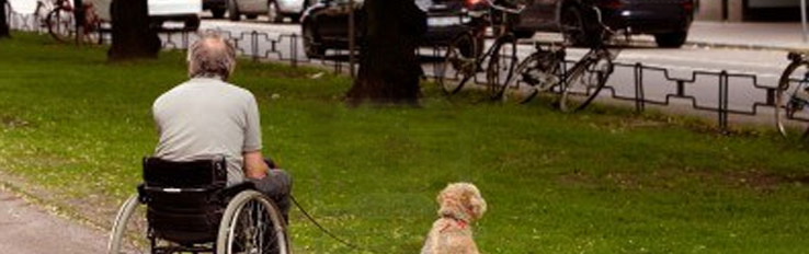 Photo d'un homme en chaise roulante accompagné d'un chien